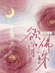 欲染佛珠 作者一叶孤舟著