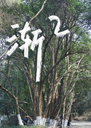 渐渐破茧作文800字