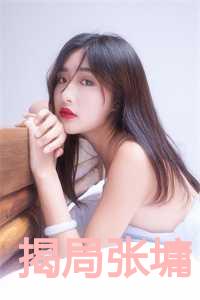 揭局张墉李伯齐最新章节更新时间表