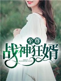 江枫与叶青璇免费阅读