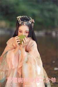 苏清欢冷少帅