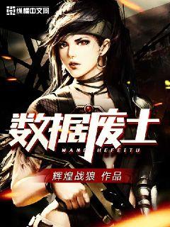 数据废土同人