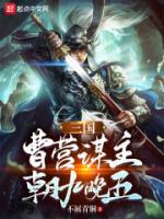 三国曹营谋主朝九晚五历史