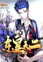 东皇太二奥拉星图片