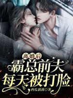 女主角叫沐瑾的