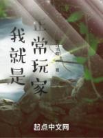 我就是正常玩家精校版无错字