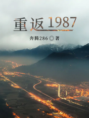 重返1987易飞