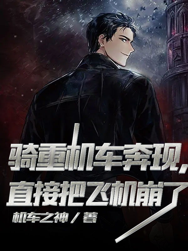 直接把飞机崩了全文阅