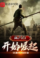 从八百开始崛起讲的什么