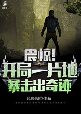 暴击出奇迹 风轻阳 TXT
