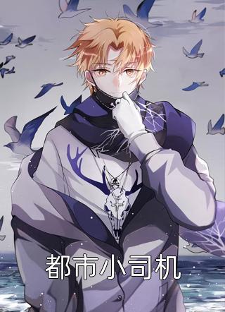 八零辶佳妻有喜