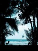 虐文男二觉醒了