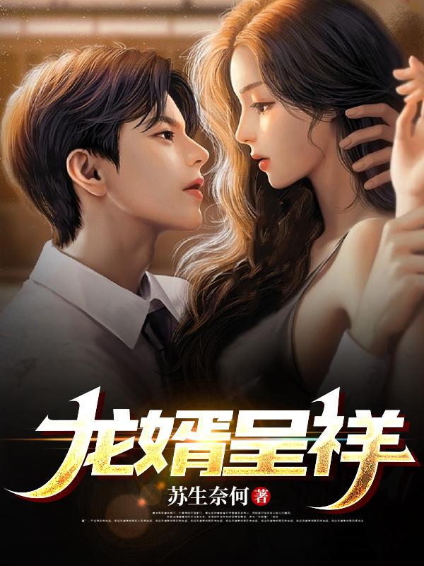 龙婿的