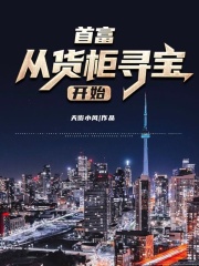 首富从货柜寻宝开始大结局