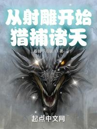 从射雕开始选择