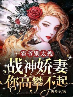 叶景川是个什么人