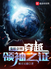 变形金刚之领袖之证