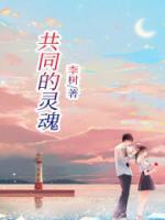 沈小茹的办公室历程解析