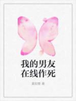 我的男朋友(男友)