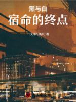 黑与白讲述的是什么