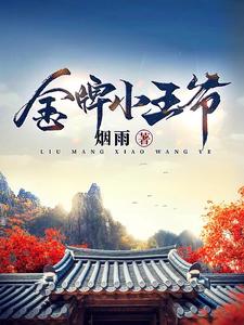 金牌小王爷风起朝堂