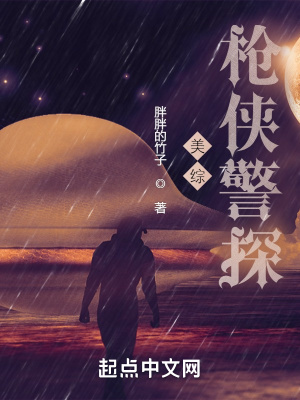 北美枪侠警探TXT精校版