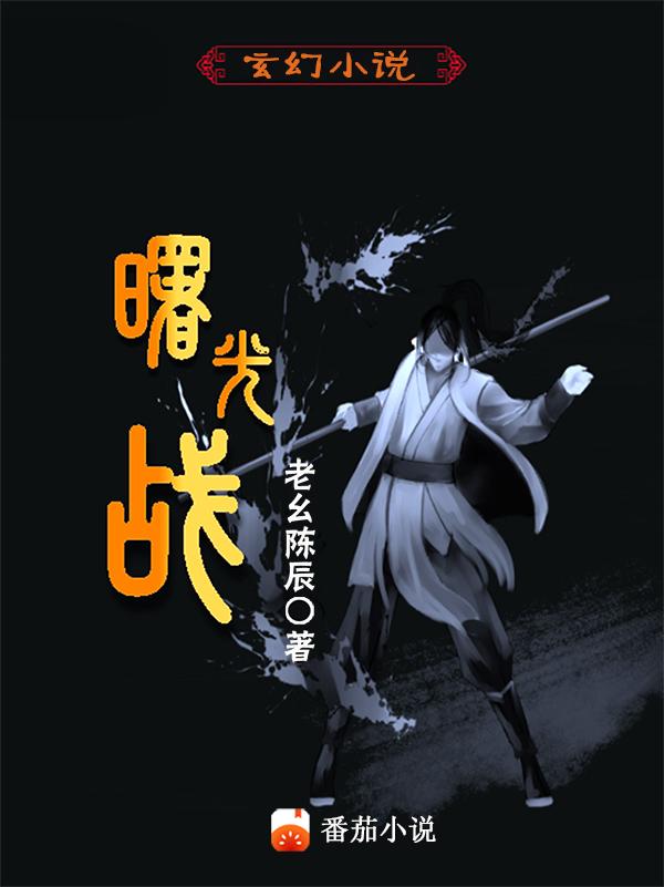 曙光战机长什么样子