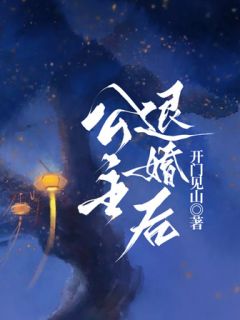 公主退婚后续剧情