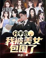 分手后我被美女包围了短剧视频在线观看