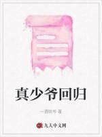 真少爷回归王辞最新章节更新背后的故事