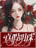 真假明珠短剧免费播放电视剧