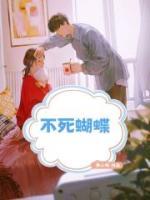 陆经年夏晚安全文免费