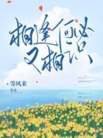 只愿余生不相逢什么意思