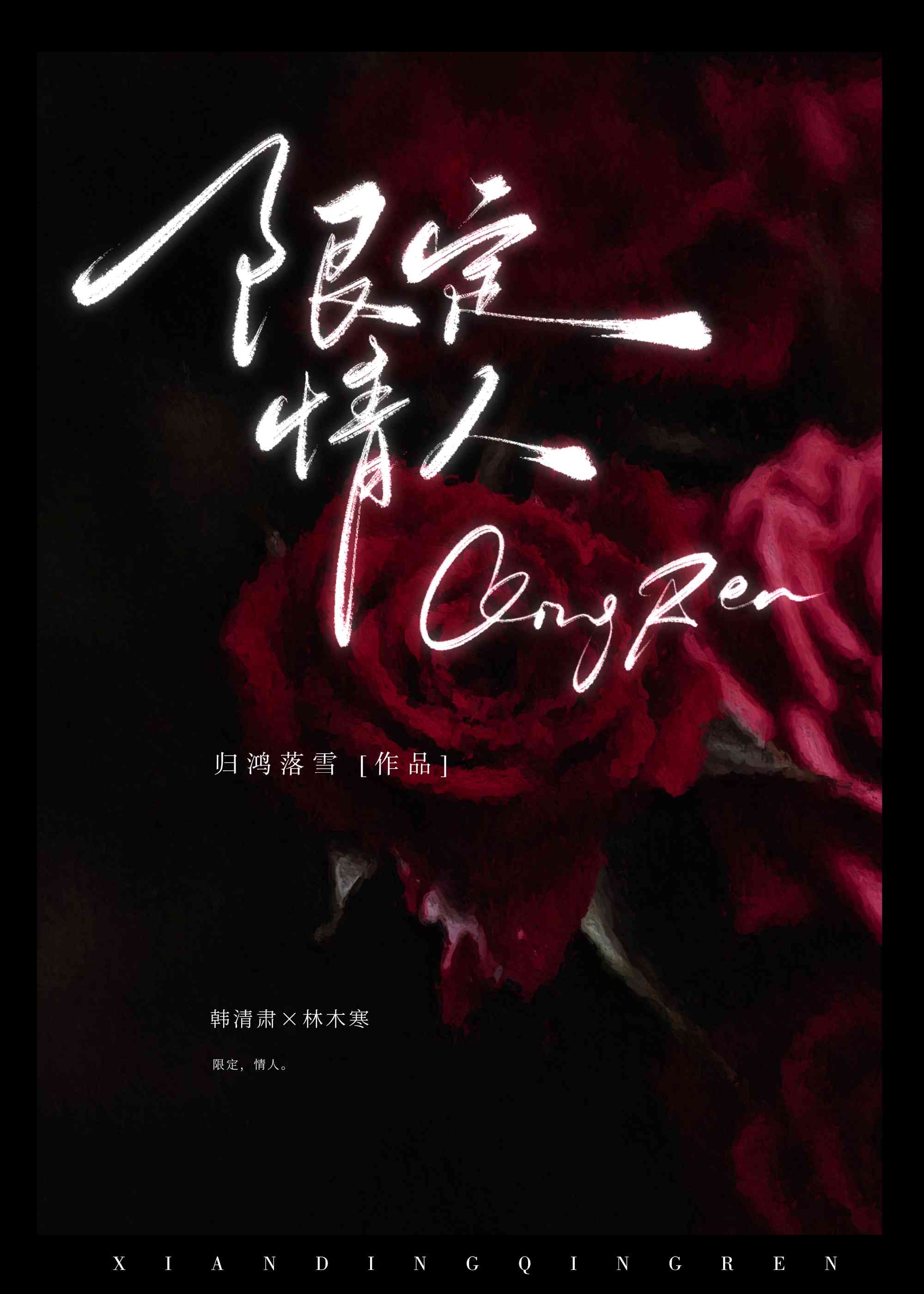 限定情人双男主讲的什么