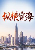 宦海纵横女主角