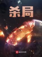 杀局1—36集电视剧免费