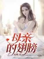母亲的翅膀分段概括