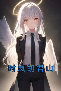 时岚胡君山描写