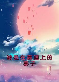 男子高速丢下妻子