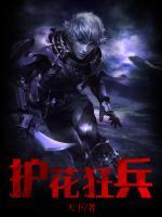 护花狂兵心在流浪TXT