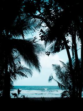 陪读妈妈在日本 作者启蒙