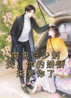 盛夏冷肆免费阅读