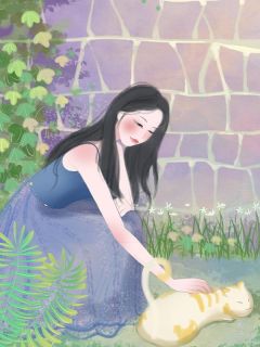 许你岁岁安67一