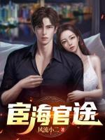 官场风云之风起云涌