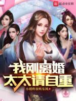 我刚离婚太太请自重免费阅读