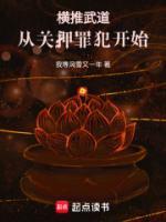 横推武道从关押罪犯开始 境界等级