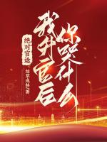 绝对官途我升官后你哭什么