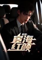 官路宦海红颜大结局