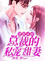 傅少的心尖宠1-100集全