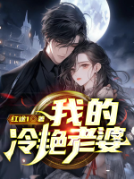 我的冷艳老婆是间谍免费阅读